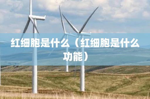 红细胞是什么（红细胞是什么功能）