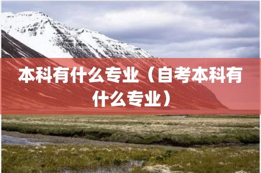 本科有什么专业（自考本科有什么专业）