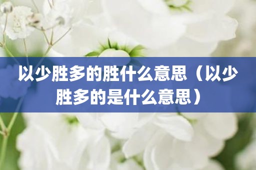 以少胜多的胜什么意思（以少胜多的是什么意思）