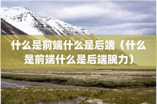 什么是前端什么是后端（什么是前端什么是后端腕力）