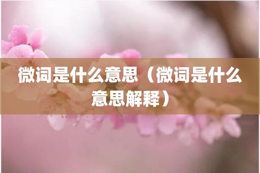 微词是什么意思（微词是什么意思解释）