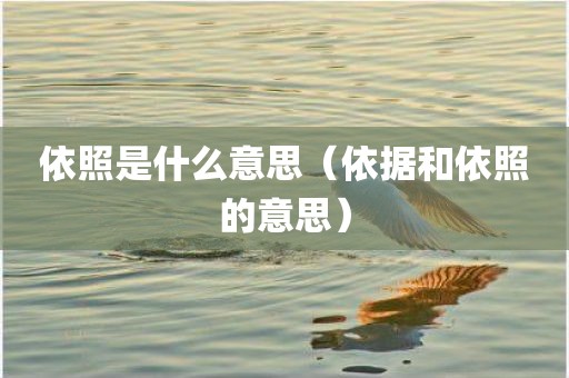 依照是什么意思（依据和依照的意思）
