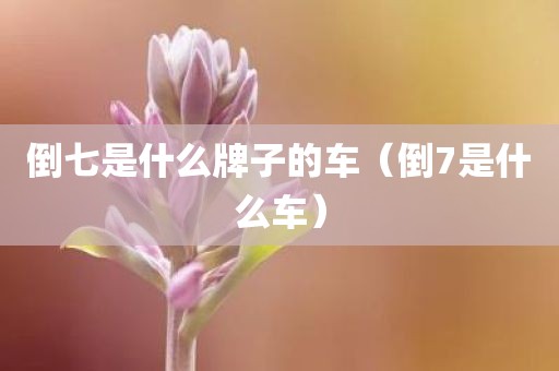 倒七是什么牌子的车（倒7是什么车）