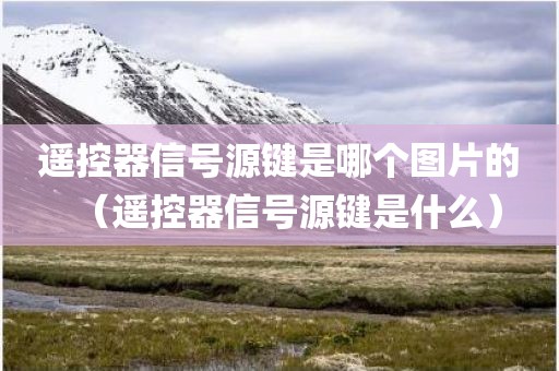 遥控器信号源键是哪个图片的（遥控器信号源键是什么）