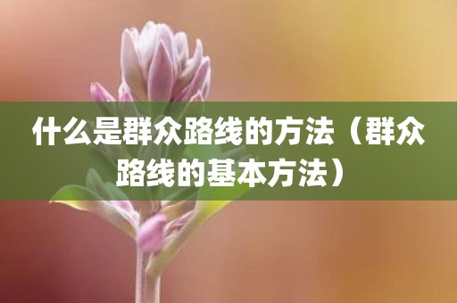 什么是群众路线的方法(群众路线的基本方法)