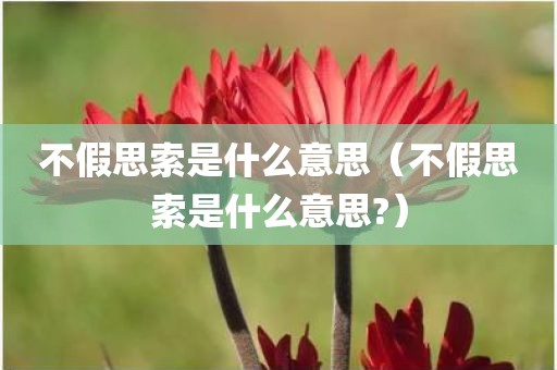 不假思索是什么意思（不假思索是什么意思?）