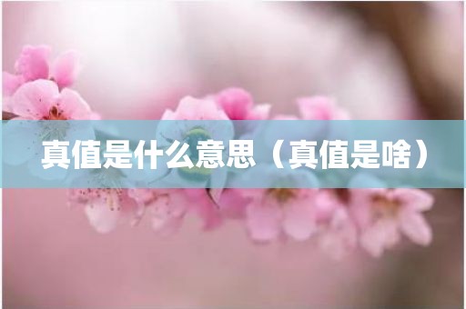 真值是什么意思（真值是啥）