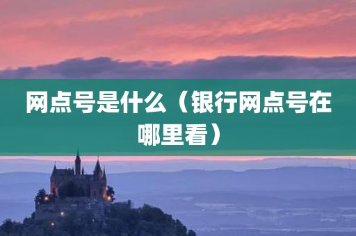 网点号是什么（银行网点号在哪里看）