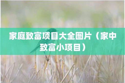 家庭致富项目大全图片（家中致富小项目）