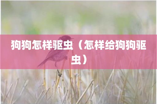 狗狗怎样驱虫（怎样给狗狗驱虫）