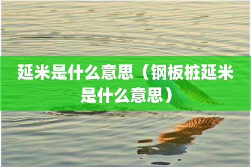 延米是什么意思（钢板桩延米是什么意思）