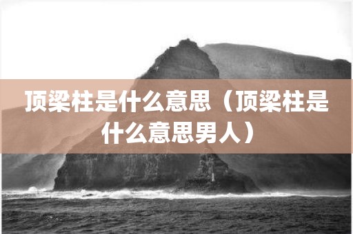 顶梁柱是什么意思（顶梁柱是什么意思男人）