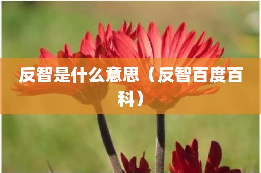 反智是什么意思（反智百度百科）