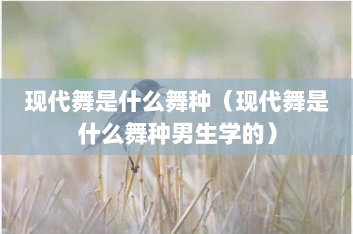 现代舞是什么舞种（现代舞是什么舞种男生学的）