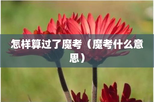 怎样算过了魔考（魔考什么意思）