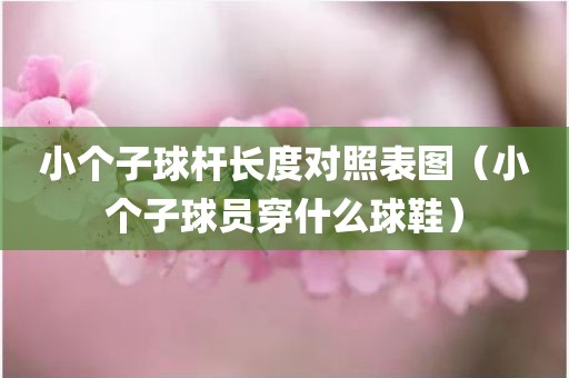 小个子球杆长度对照表图（小个子球员穿什么球鞋）