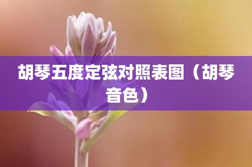 胡琴五度定弦对照表图（胡琴音色）