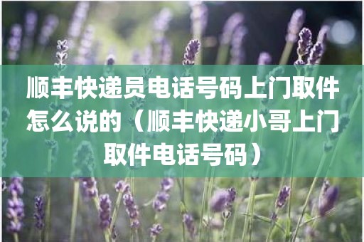 顺丰快递员电话号码上门取件怎么说的(顺丰快递小哥上门取件电话号码)