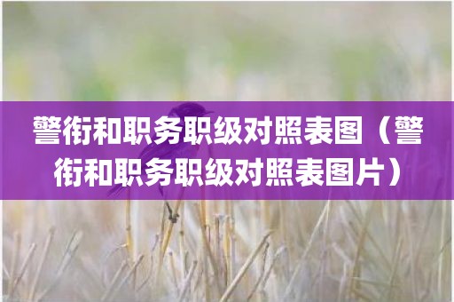 警衔和职务职级对照表图（警衔和职务职级对照表图片）