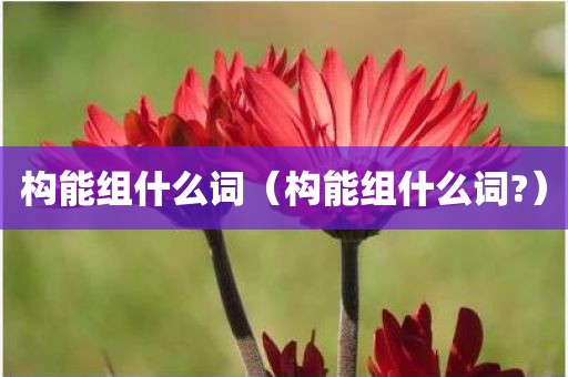 构能组什么词（构能组什么词?）