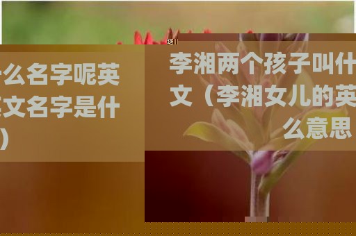 李湘两个孩子叫什么名字呢英文（李湘女儿的英文名字是什么意思）