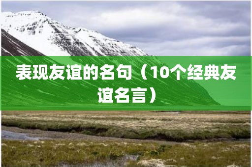 表现友谊的名句（10个经典友谊名言）