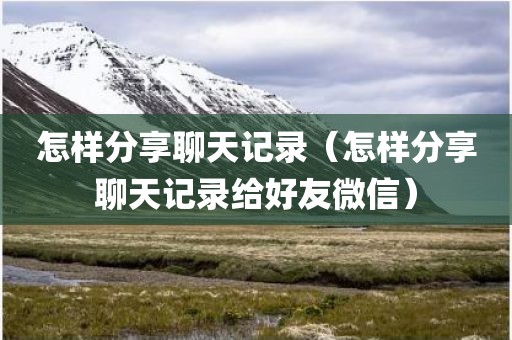 怎样分享聊天记录（怎样分享聊天记录给好友微信）
