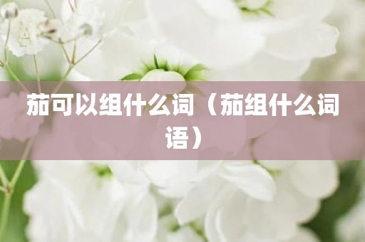 茄可以组什么词(茄组什么词语)