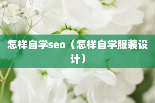 怎样自学seo（怎样自学服装设计）