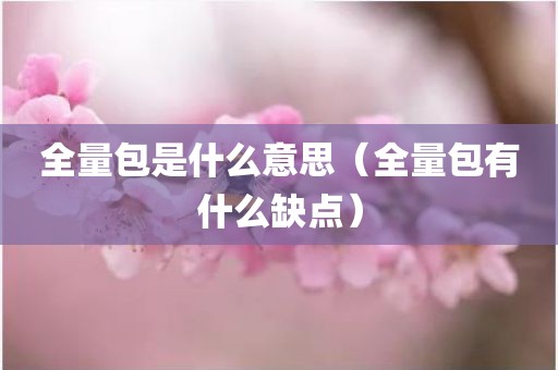 全量包是什么意思（全量包有什么缺点）