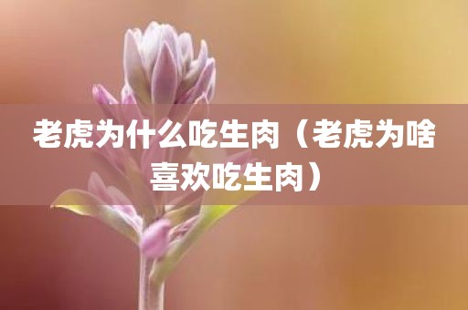 老虎为什么吃生肉（老虎为啥喜欢吃生肉）