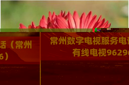 常州数字电视服务电话（常州有线电视96296）