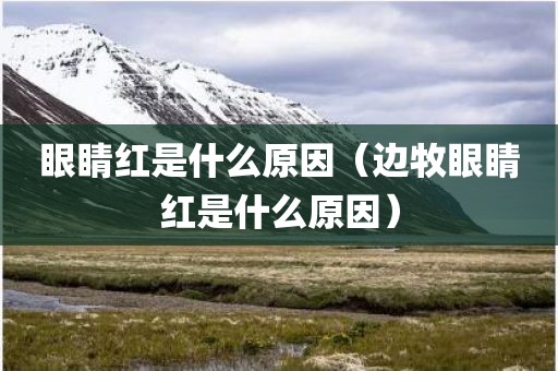 眼睛红是什么原因（边牧眼睛红是什么原因）