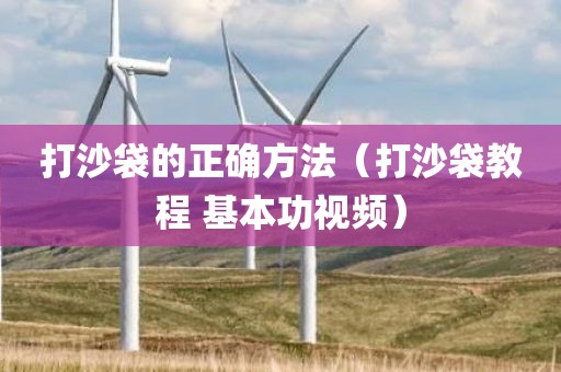 打沙袋的正确方法（打沙袋教程 基本功视频）
