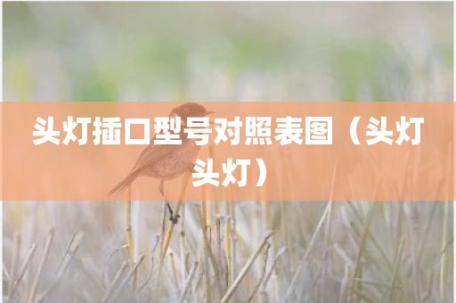 头灯插口型号对照表图（头灯头灯）