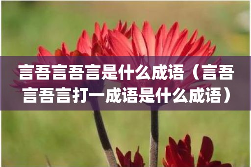 言吾言吾言是什么成语（言吾言吾言打一成语是什么成语）