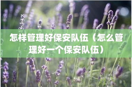 怎样管理好保安队伍（怎么管理好一个保安队伍）