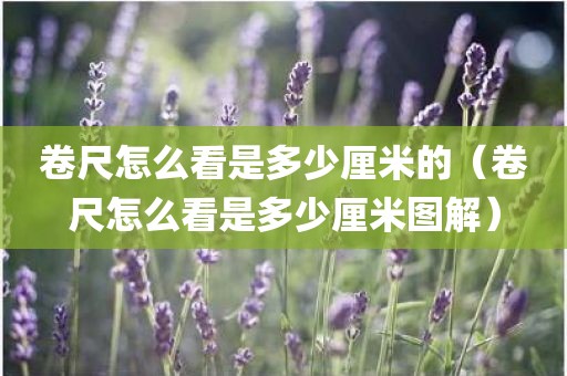 卷尺怎么看是多少厘米的（卷尺怎么看是多少厘米图解）