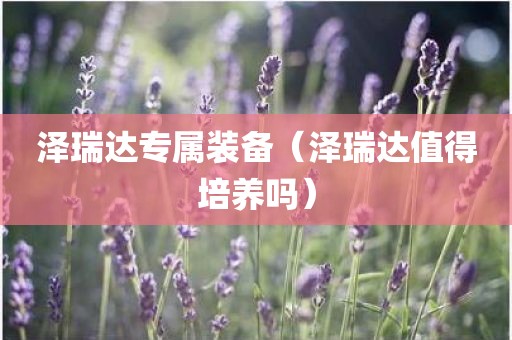 泽瑞达专属装备（泽瑞达值得培养吗）
