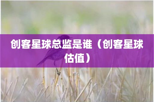 创客星球总监是谁（创客星球估值）