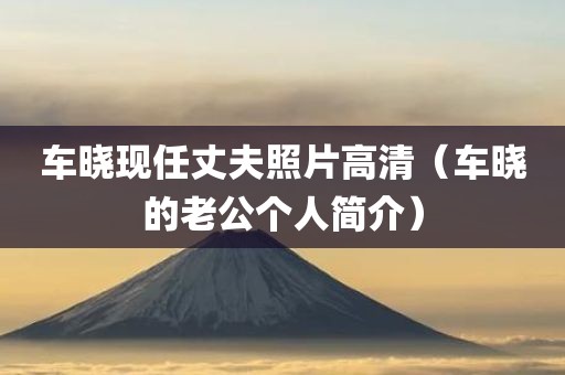 车晓现任丈夫照片高清（车晓的老公个人简介）