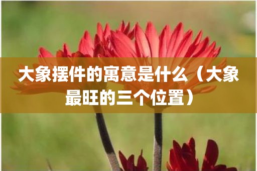 大象摆件的寓意是什么（大象最旺的三个位置）