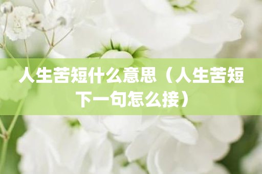 人生苦短什么意思（人生苦短下一句怎么接）