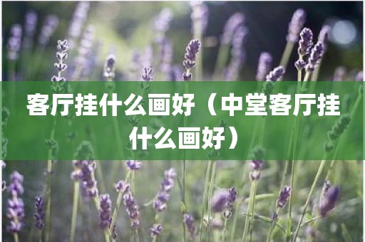 客厅挂什么画好（中堂客厅挂什么画好）