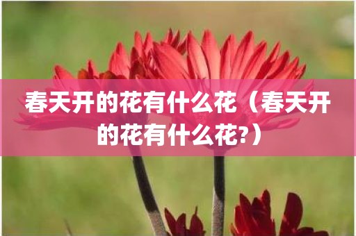 春天开的花有什么花（春天开的花有什么花?）