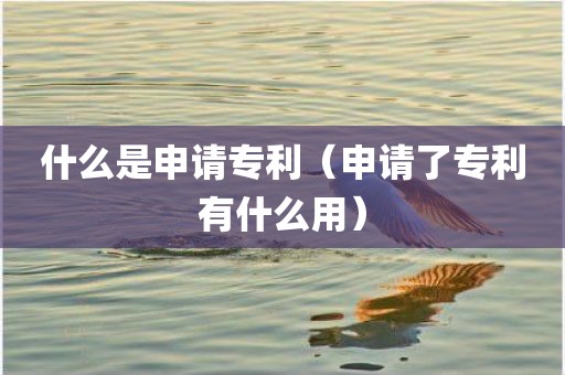 什么是申请专利(申请了专利有什么用)