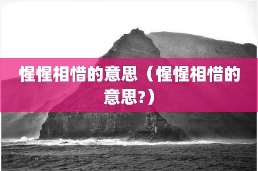 惺惺相惜的意思（惺惺相惜的意思?）
