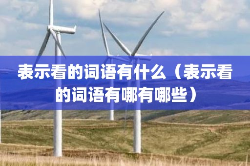 表示看的词语有什么（表示看的词语有哪有哪些）