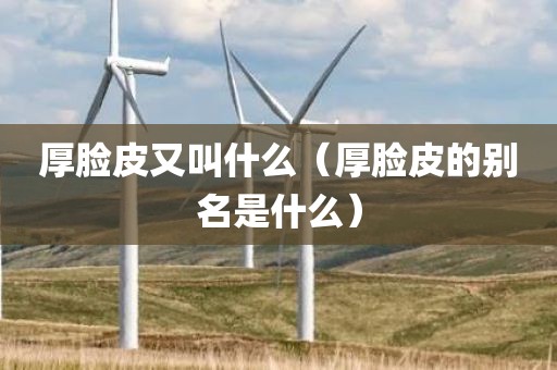厚脸皮又叫什么（厚脸皮的别名是什么）