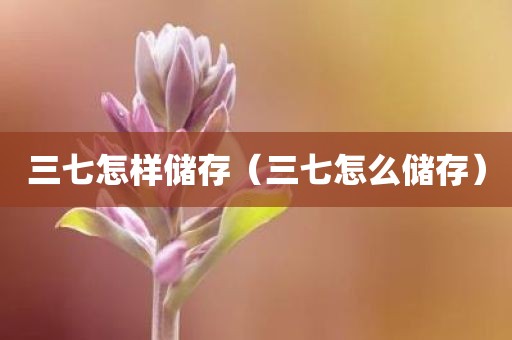 三七怎样储存（三七怎么储存）